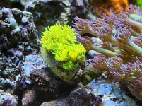 IMG_5873.jpg