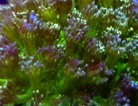 20240821_140031.jpg