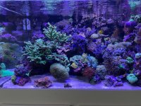 IMG_8108.jpeg