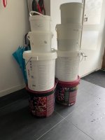 IMG_8110.jpeg