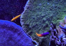 IMG_8124.jpeg