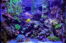 IMG_8130.jpeg