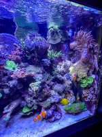 IMG_8131.jpeg