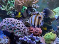 IMG_3256.jpeg IMG_3256.jpeg