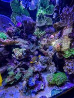 IMG_8183.jpeg