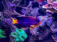 IMG_8195.jpeg