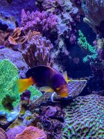 IMG_8189.jpeg