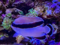 IMG_8198.jpeg