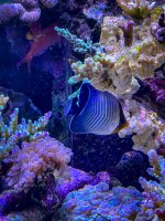 IMG_8192.jpeg