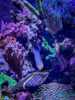 IMG_8194.jpeg