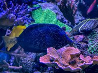 IMG_8190.jpeg