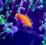 IMG_8166.jpeg