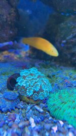 IMG_0660.JPG IMG_0660.JPG