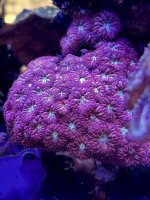 IMG_3589.JPG
