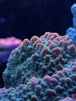 IMG_3598.JPG