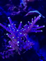 IMG_3599.JPG