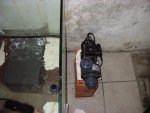 aqaurium 013.jpg