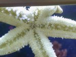 Foto's-0026.jpg