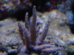 DSC00392.JPG