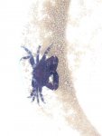 Afbeelding 251 (Small).jpg