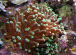 IMG_0256.JPG