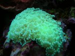 DSCN9241.jpg