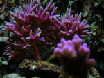 DSCN9269.jpg