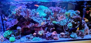PXL_20240922_112515609.MP~2.jpg