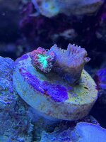 IMG_3618.JPG IMG_3618.JPG