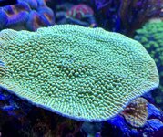 IMG_3623.JPG