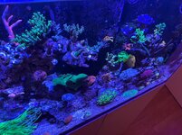 IMG_7596.jpg