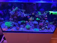 IMG_7648.jpg