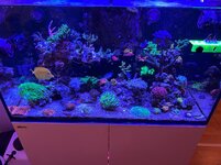 IMG_7652.jpg