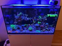 IMG_7673.jpg