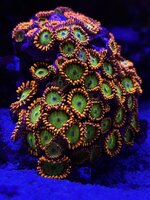 IMG_3632.JPG