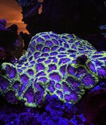 IMG_3636.JPG