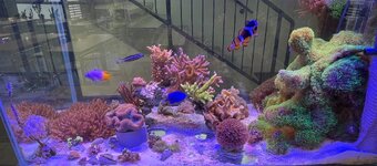 IMG_8364.jpeg IMG_8364.jpeg