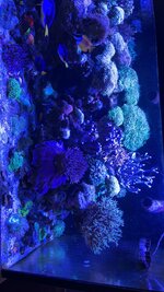 IMG_9461.jpeg