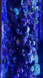 IMG_9460.jpeg