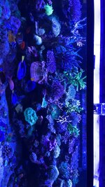 IMG_9459.jpeg