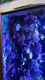 IMG_9458.jpeg