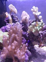 20241012_183846.jpg