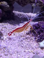 20241012_182639.jpg