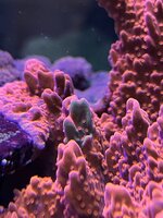 IMG_3646.JPG IMG_3646.JPG