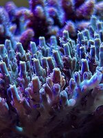 IMG_3658.JPG