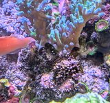 PXL_20241022_100617187.MP~2.jpg