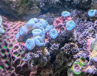 PXL_20241022_100609119.MP~2.jpg