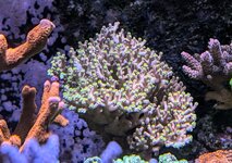 PXL_20241023_094450708.MP~2.jpg