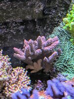 PXL_20241023_100043518.MP~2.jpg