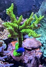 PXL_20241023_101235086.MP~2.jpg